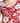 Tonya Crimson Cowl Neck Midi Dress